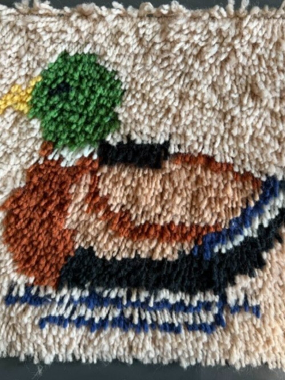 Latch Hook mallard duck 12x12